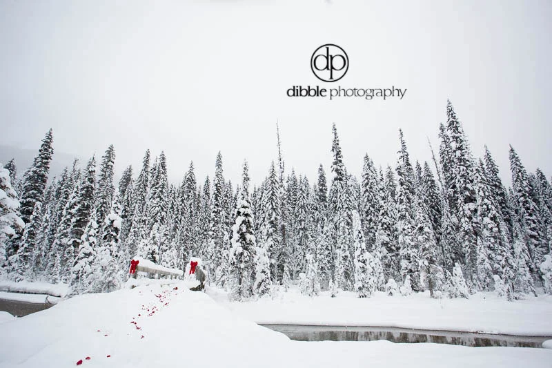 emerald-lake-winter-proposal-02.jpg