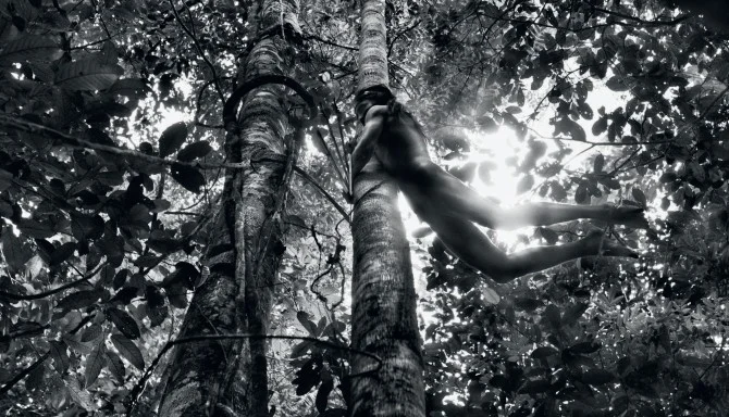 Sebastião Salgado, Zo'é Indian hunter, Brazil, 2009