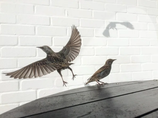 David Craik — second place, Photographer of the Year