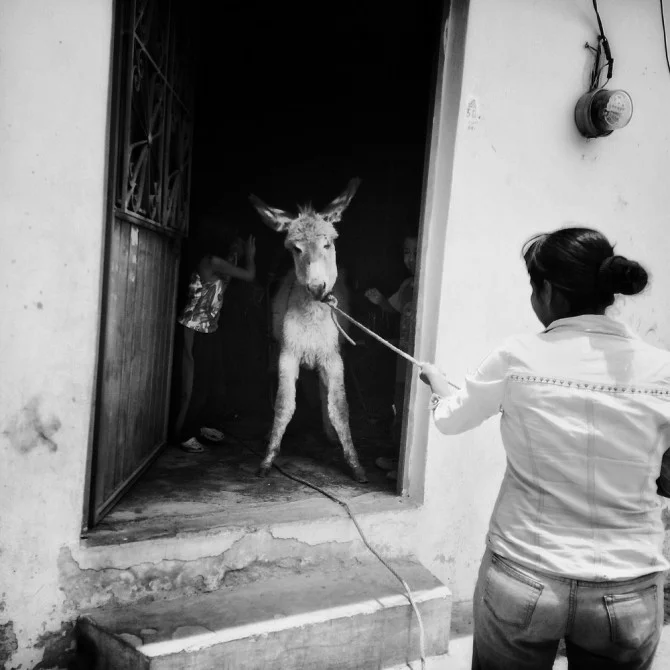 Adriana Zehbrauskas/@adrianazehbrauskas/Getty Images Instagram Grant Recipient 2015