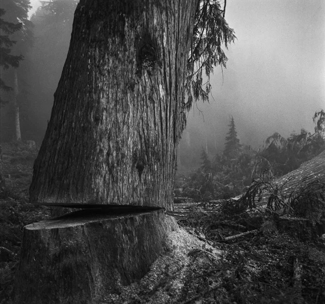 001_Loggers-Grisdale-7-80-95-21-670x627.jpg