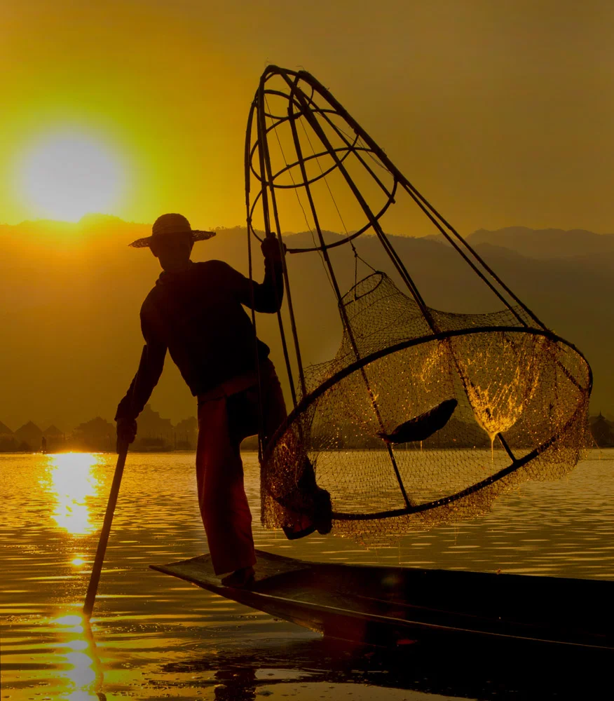 The Fish Catcher, KC Loh