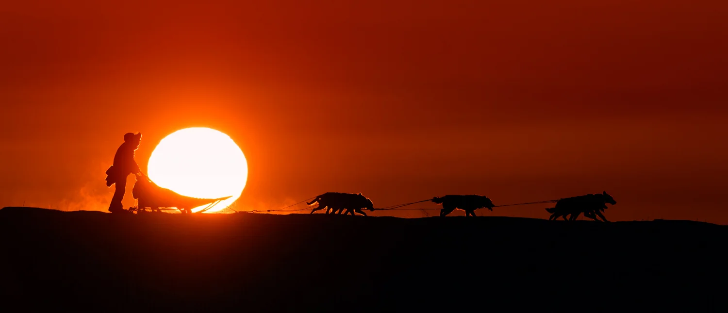 Jon Korto mushing his dog team at sunset, Galena; Nikon D800E, 500mm, f/9, 1/2000s, ISO 320