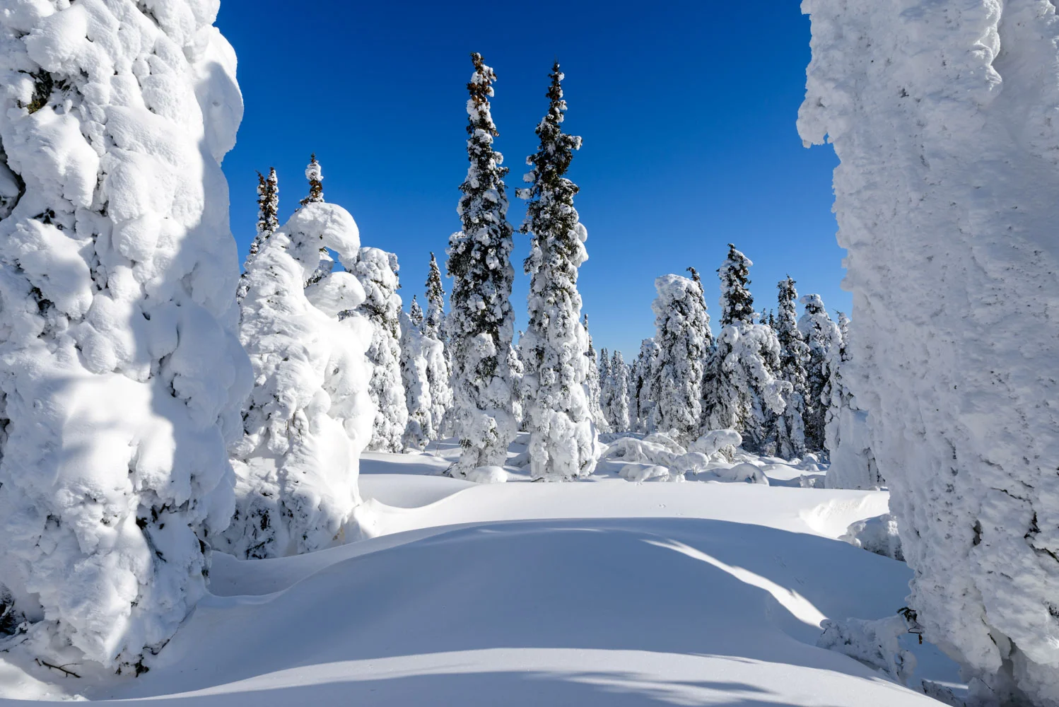 The winter wonderland just off the Dalton Highway and near the Arctic Circle; Nikon D800E, 14–24mm, f/16, 1/320s, ISO 200