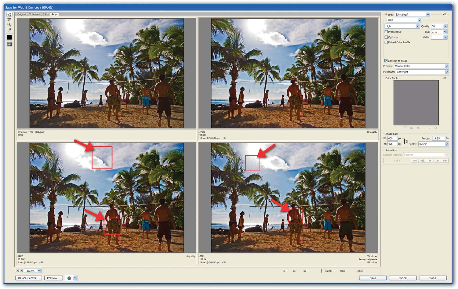 Image 5 — the Save for Web dialogue box
