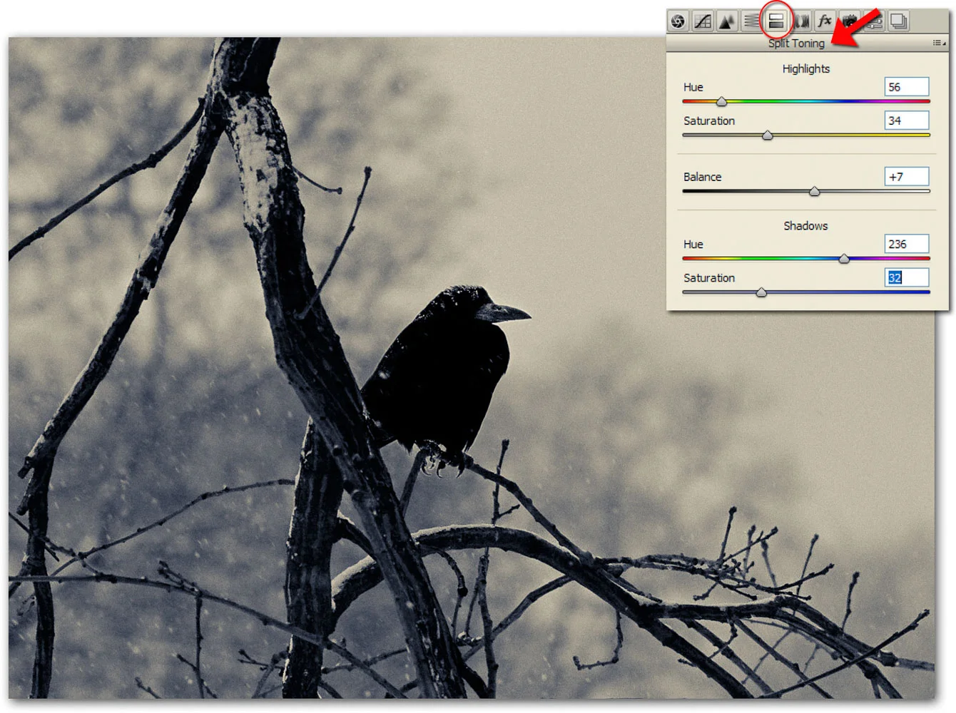 Image 1 — split toning with a blue tint in the shadows and yellow highlights
