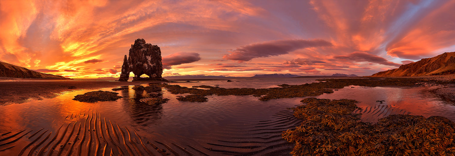 2015 winning image by Scott Dimond