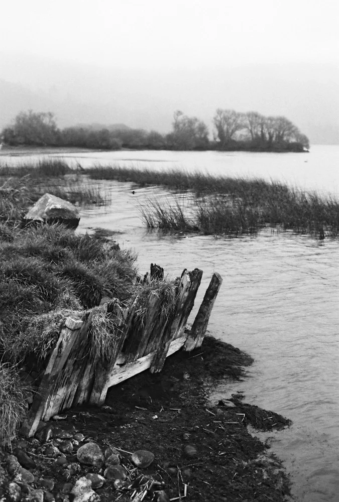 IVDM Photo_03.jpg
