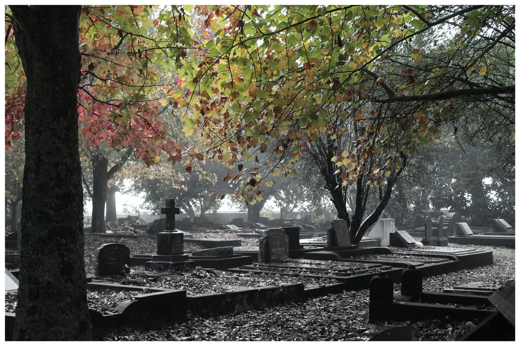 Autumn Morning Silence, Joanne Payne