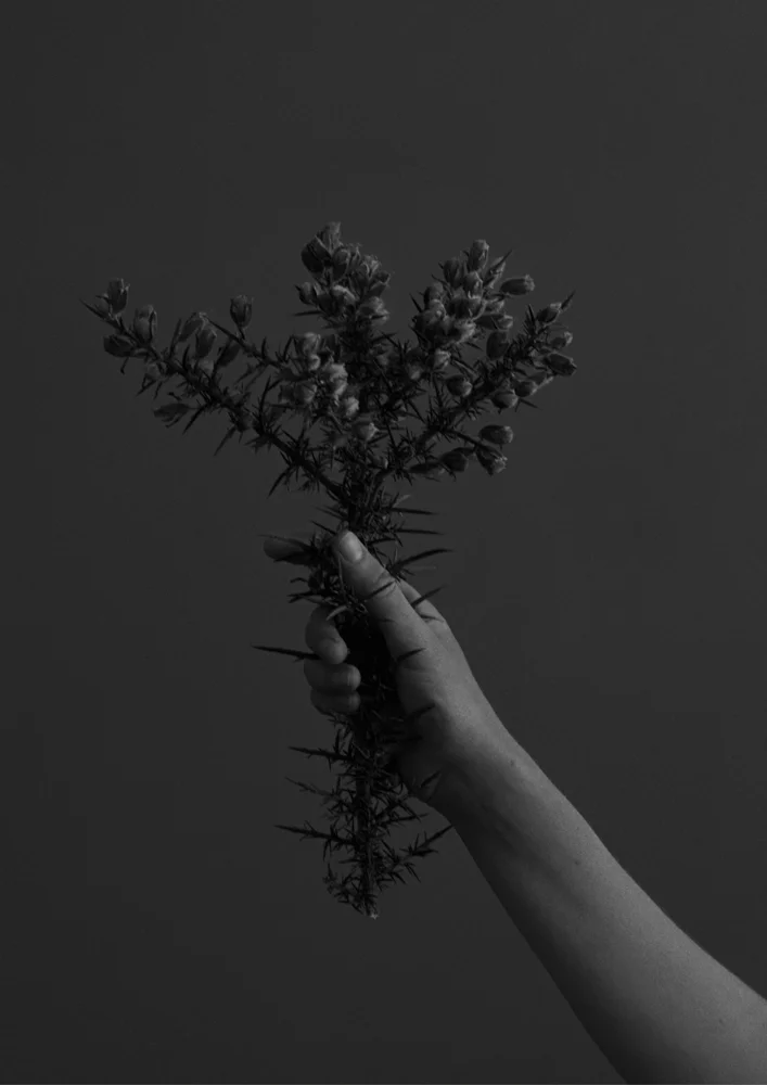 Conor Clark