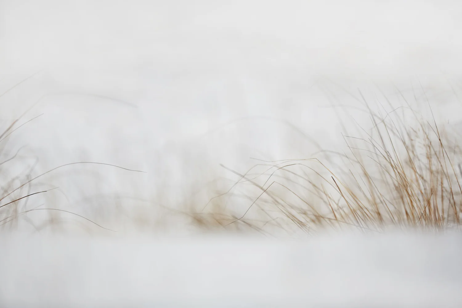 Image 1: Canon 5D Mark III, 200mm, f/2.8, 1/5000s, ISO 160
