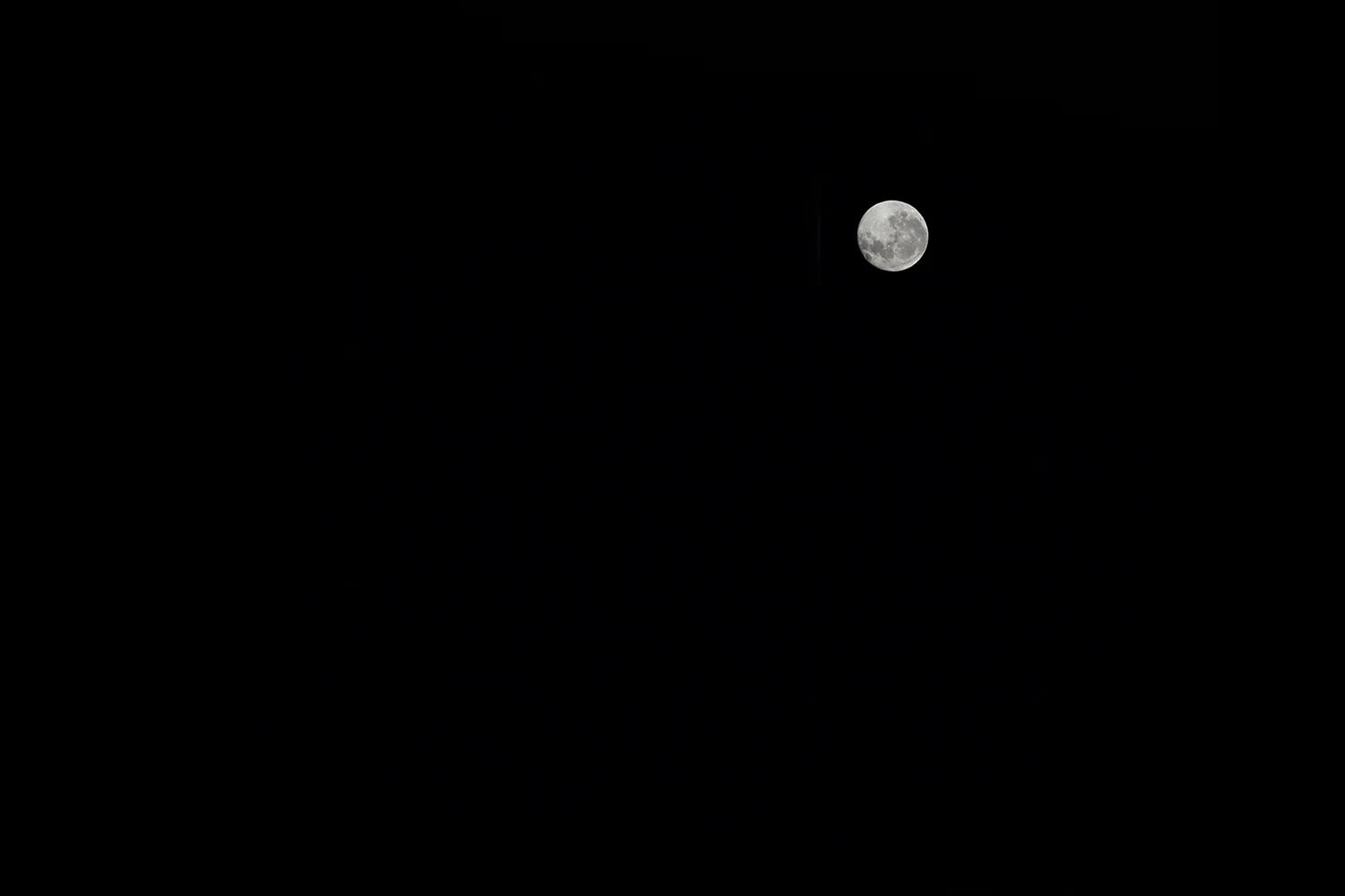 Canon 5D Mark IV, Canon EF 70–200mm, 160mm, f/5.7, 1/200s, ISO 100