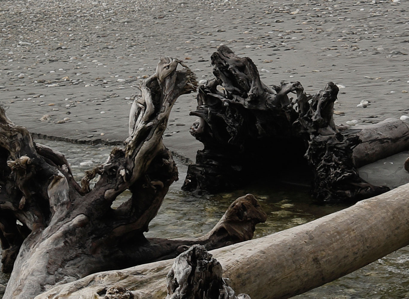 The cropped detail from the left of the frame showing the huge amount of detail