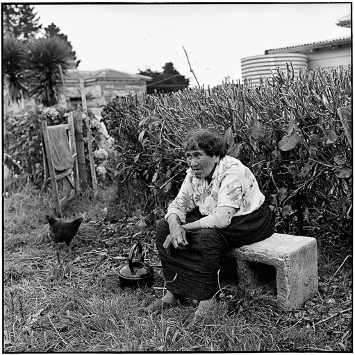 Marti Friedlander