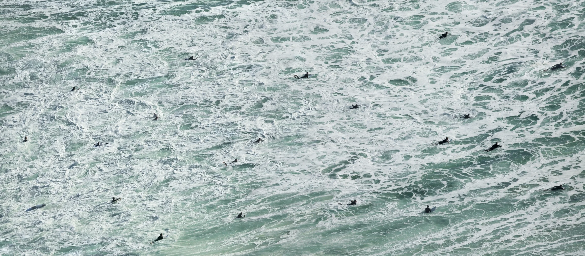 Pauanui, Canon EOS 5D Mark II, Tamron SP 150–600mm F/5-6.3 Di VC U lens, 552mm, 1/300s, f/10, ISO 100