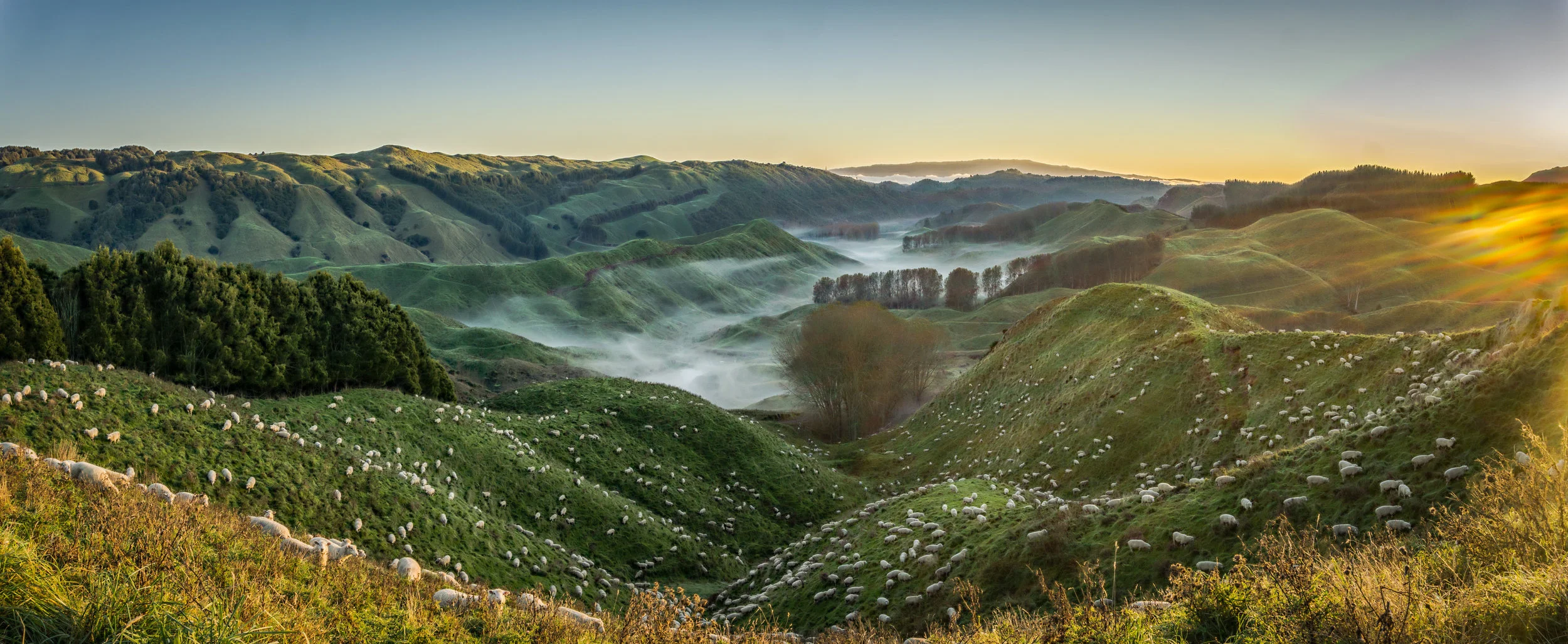 John Ford, 2017 Sony Alpha Awards, Grand Prize and Nature first place