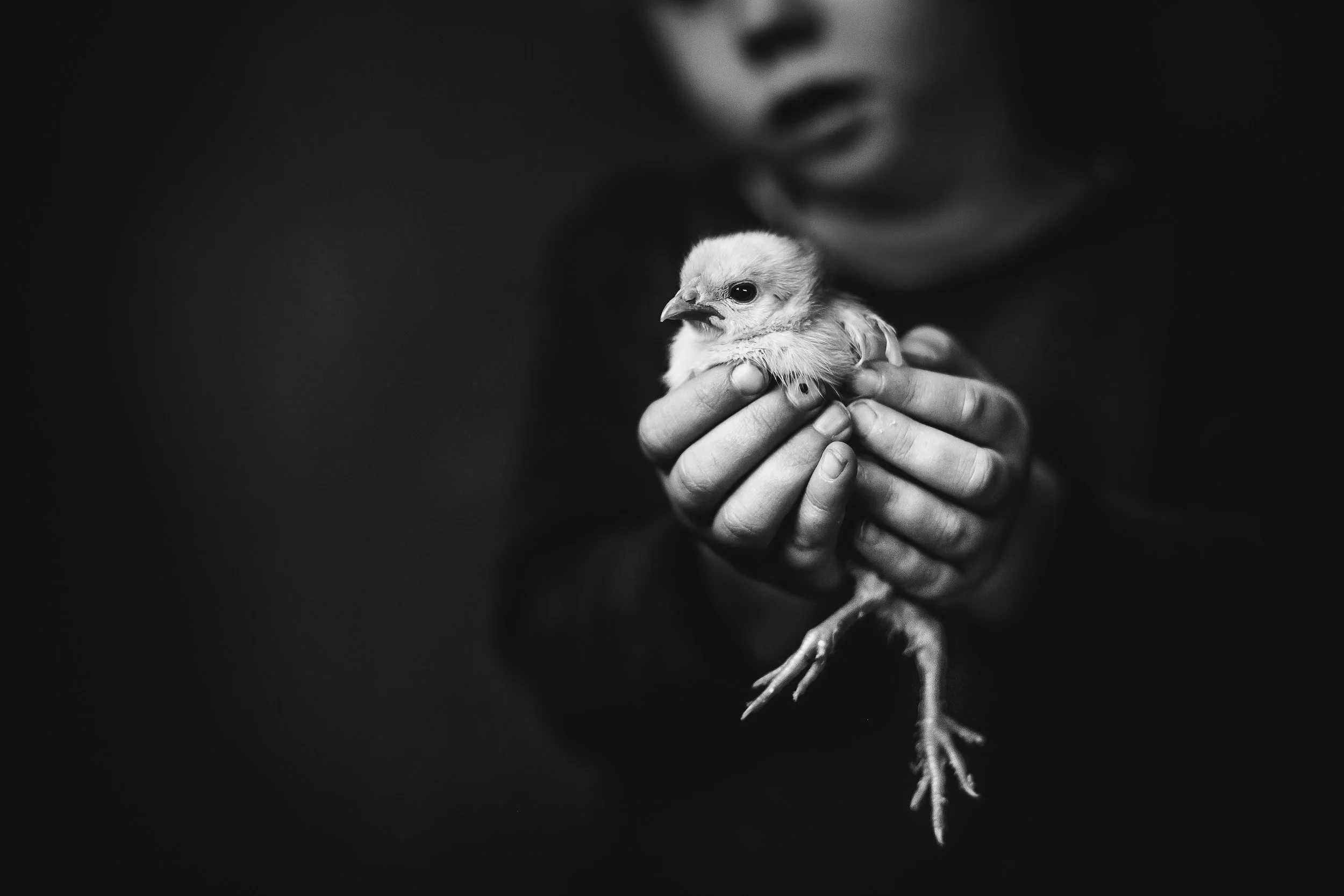 Niki Boon, Canon EOS 5D Mark II, Canon EF 24–70mm f/2.8L USM lens, 51mm, 1/200s, f/6.3, ISO 100
