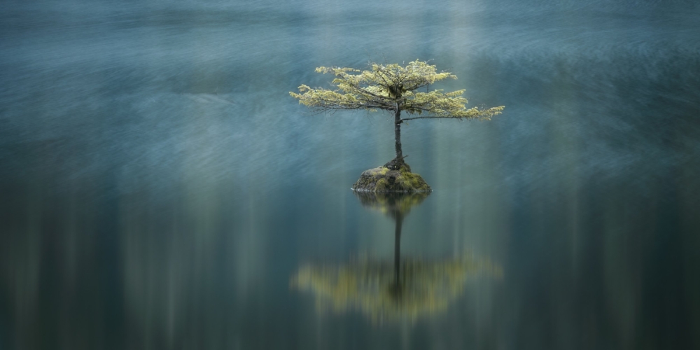 Adam Gibbs, Temperate breeze, Fairy Lake, Port Renfrew, Vancouver Island, British Columbia, Canada