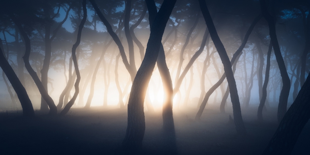 Nate Merz, Stranger things, South Korea