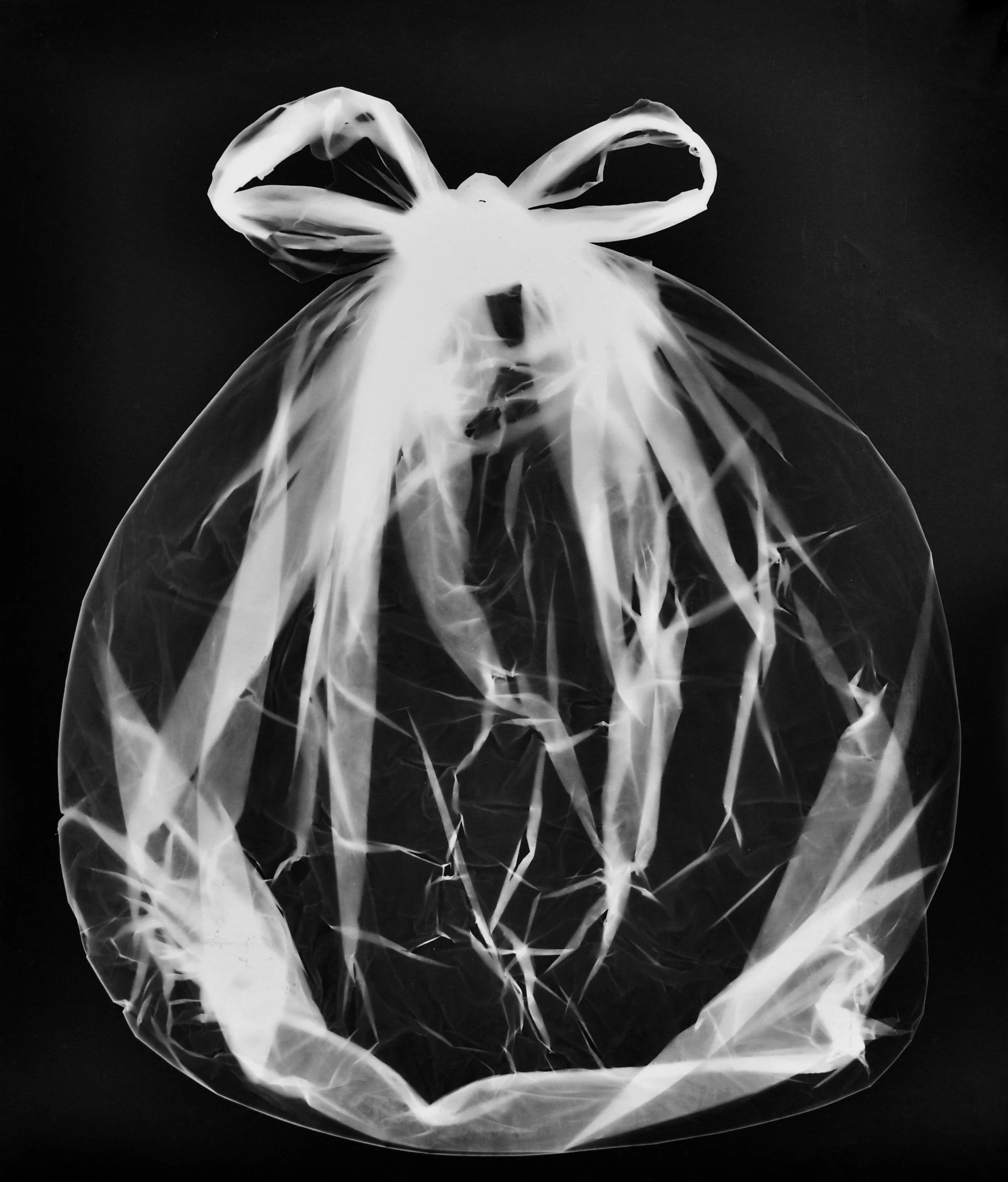 Katthy Cavaliere, Study for ‘Untitled home’ 2, 2007, gelatin silver print, 39.5x33.5cm, Monash Gallery of Art, City of Monash Collection