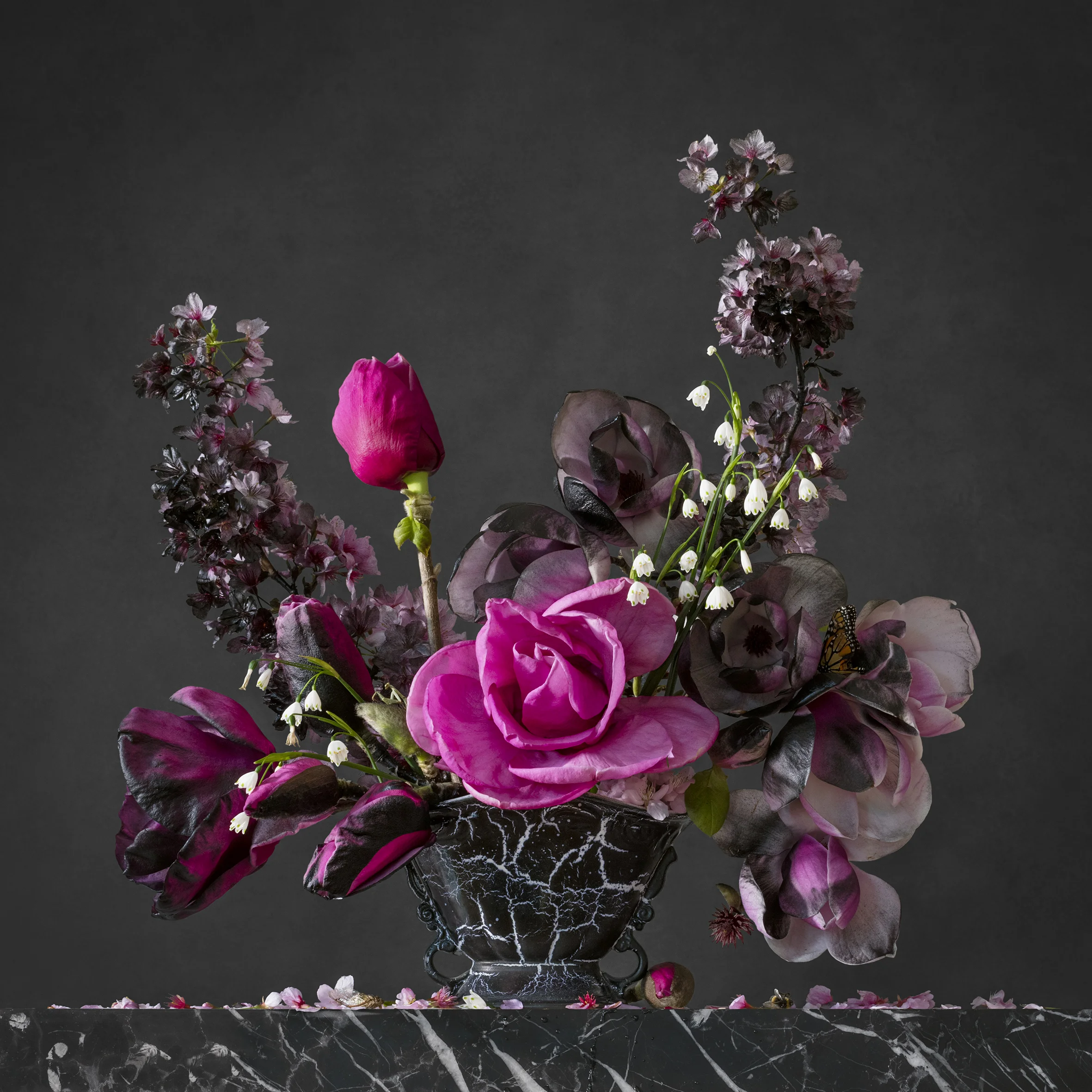 The Hope, Canon EOS 5DS, Canon EF 100mm f/2.8L Macro IS USM lens, 100mm, 0.6s, f/11, ISO 160