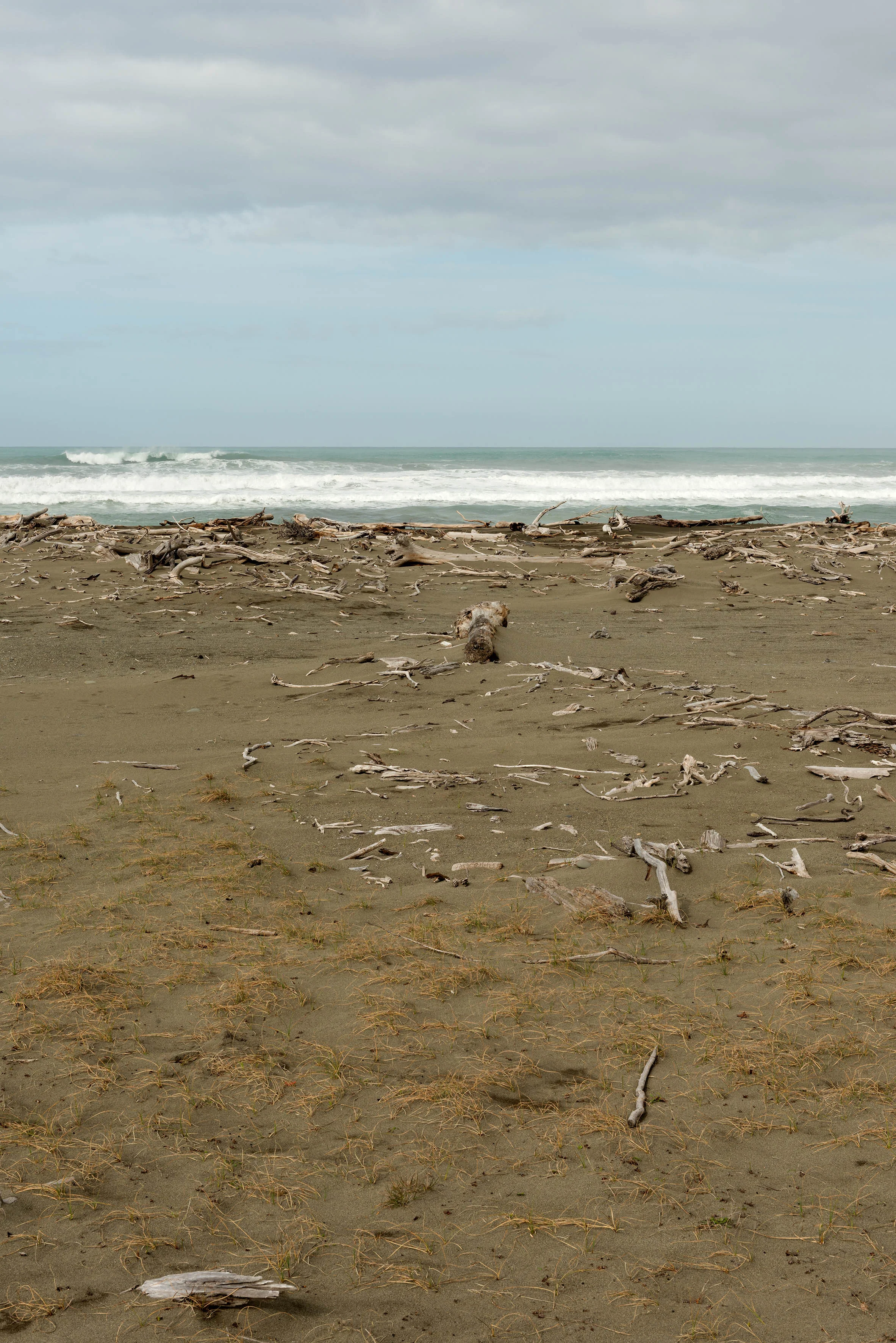 Natalie Robertson, He Wai Mou! He Wai Mau!, Takutai Moana — Rangitukia Hikoi 0–20 (2016–17) Nikon D800E, Nikon 24–70mm f/2.8 lens, 52mm, 1/60s, f/16 ISO 200