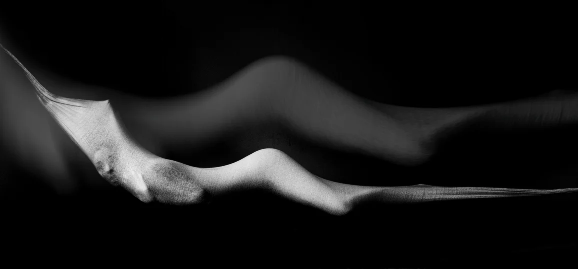 Shelley Harvey