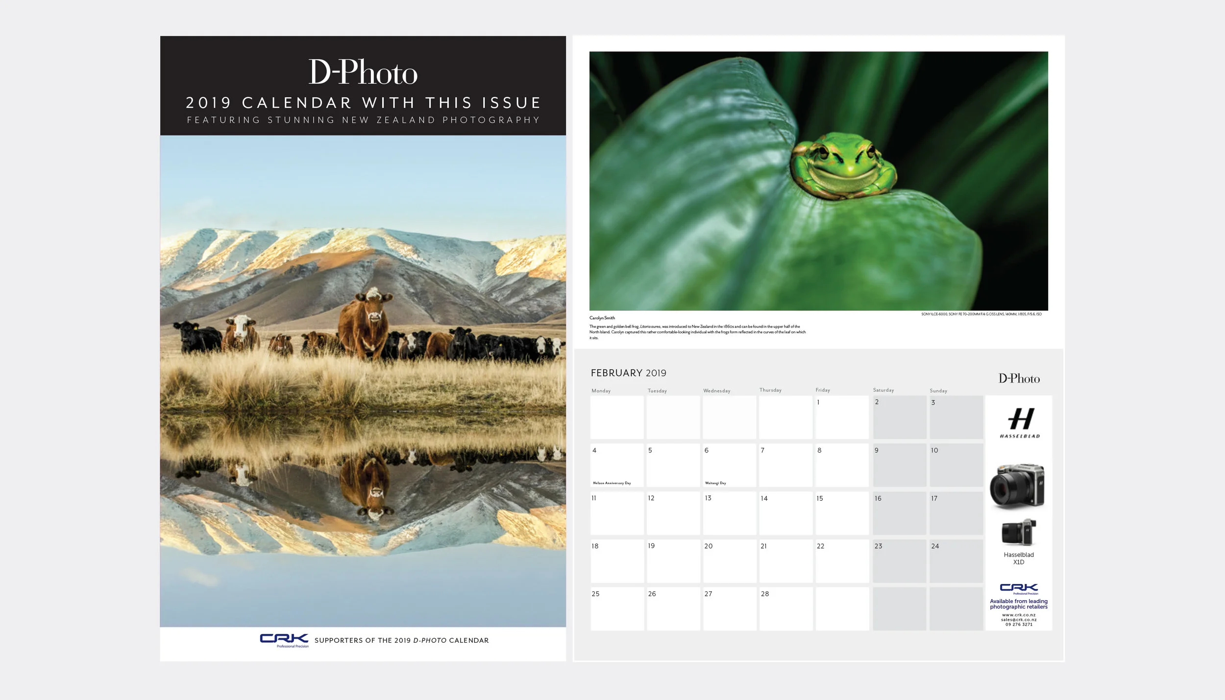 DPhoto-87-EDM-calender.jpg