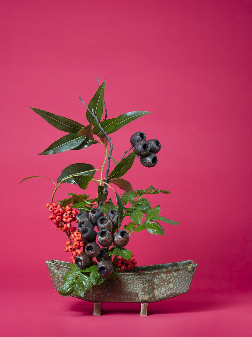 Ann Shelton, The Scarlet Woman, Valerian (Valerian sp.), in  The Gendered Lens