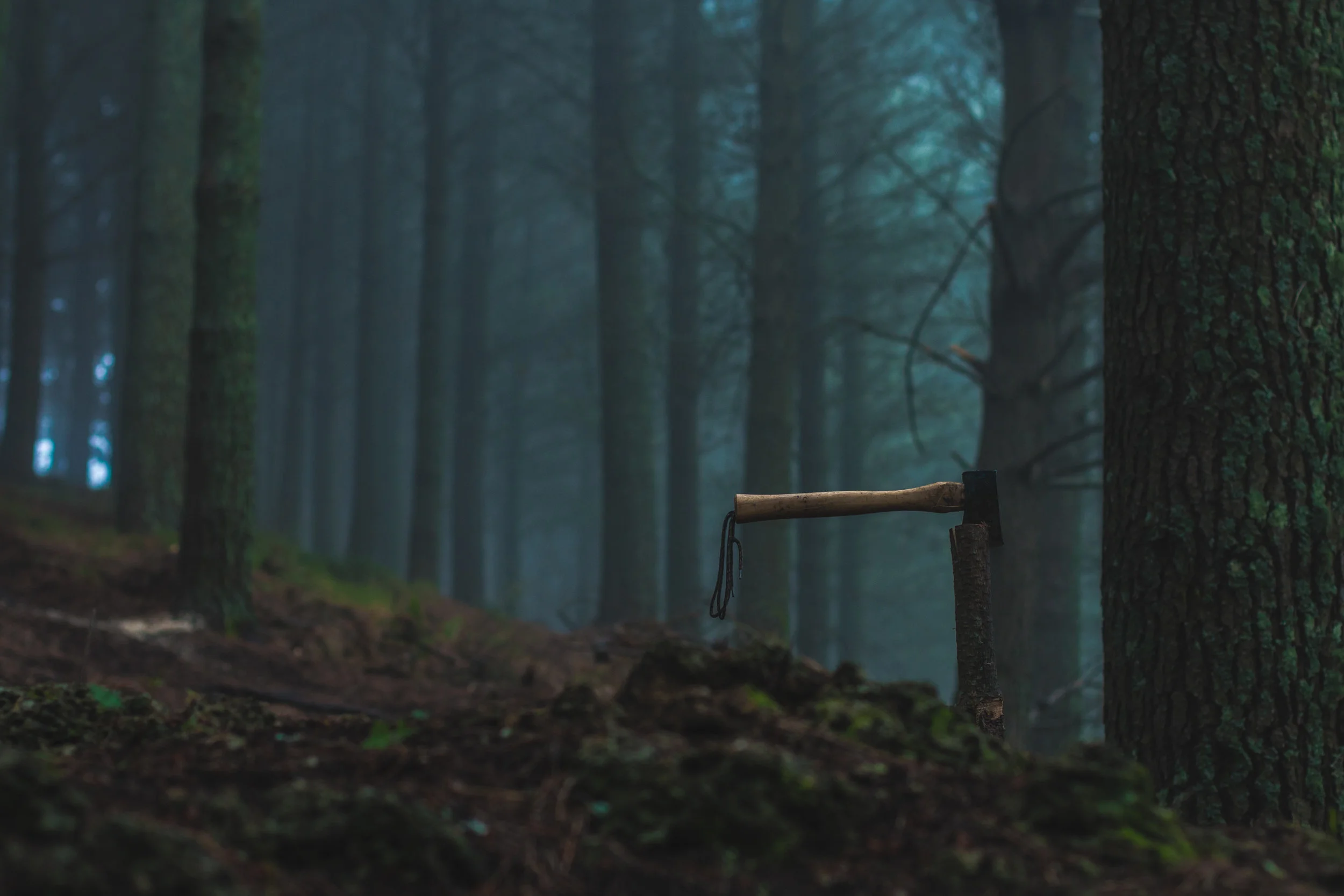 Bevan Whittleston, 2015 Student category, 3rd