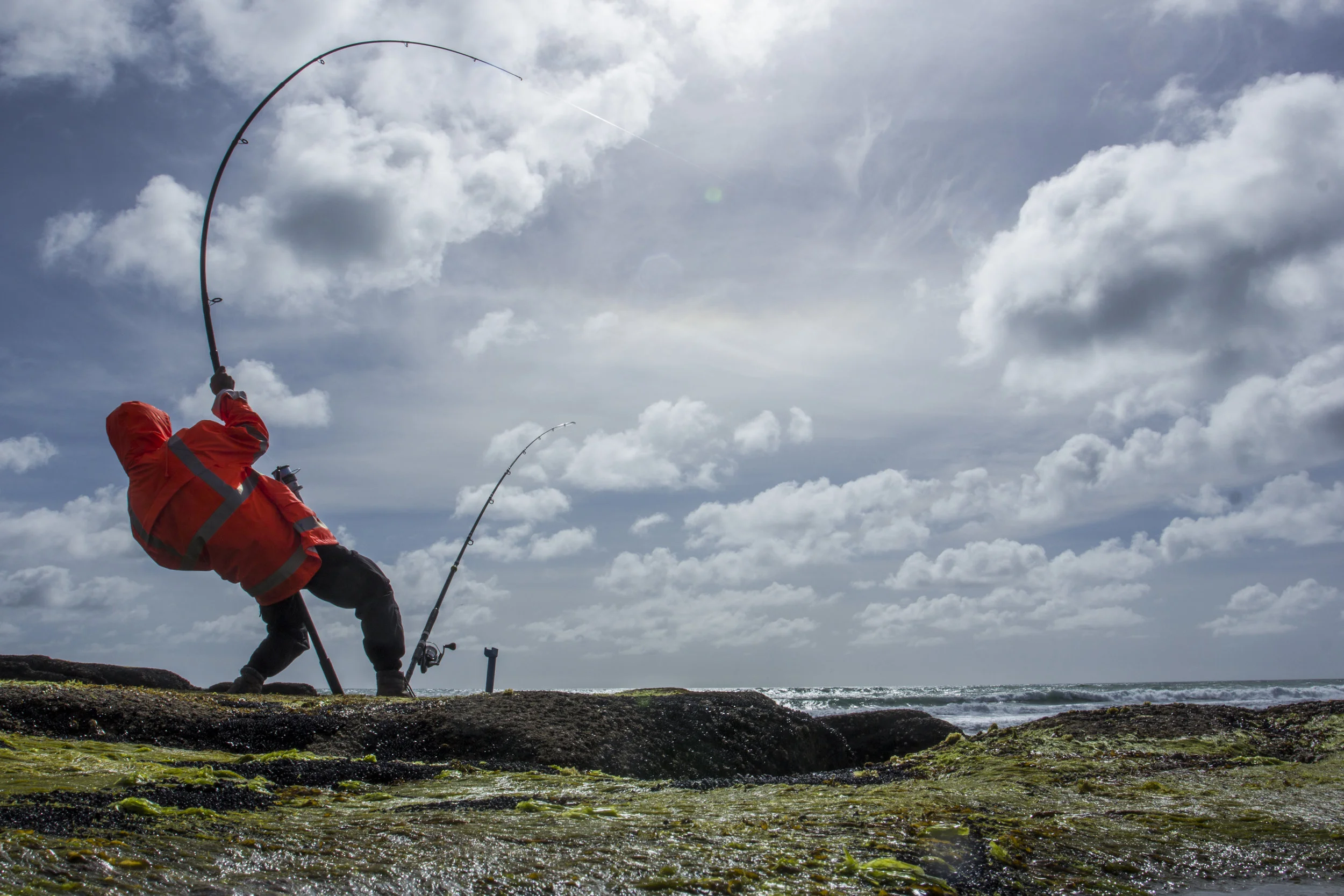 Jared Buckley, 2015 Student category, 2nd