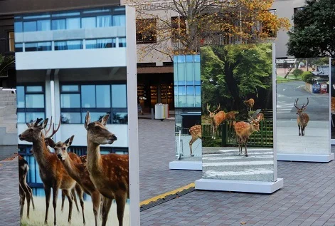 DeerPlanetYokoISHII-2.jpg