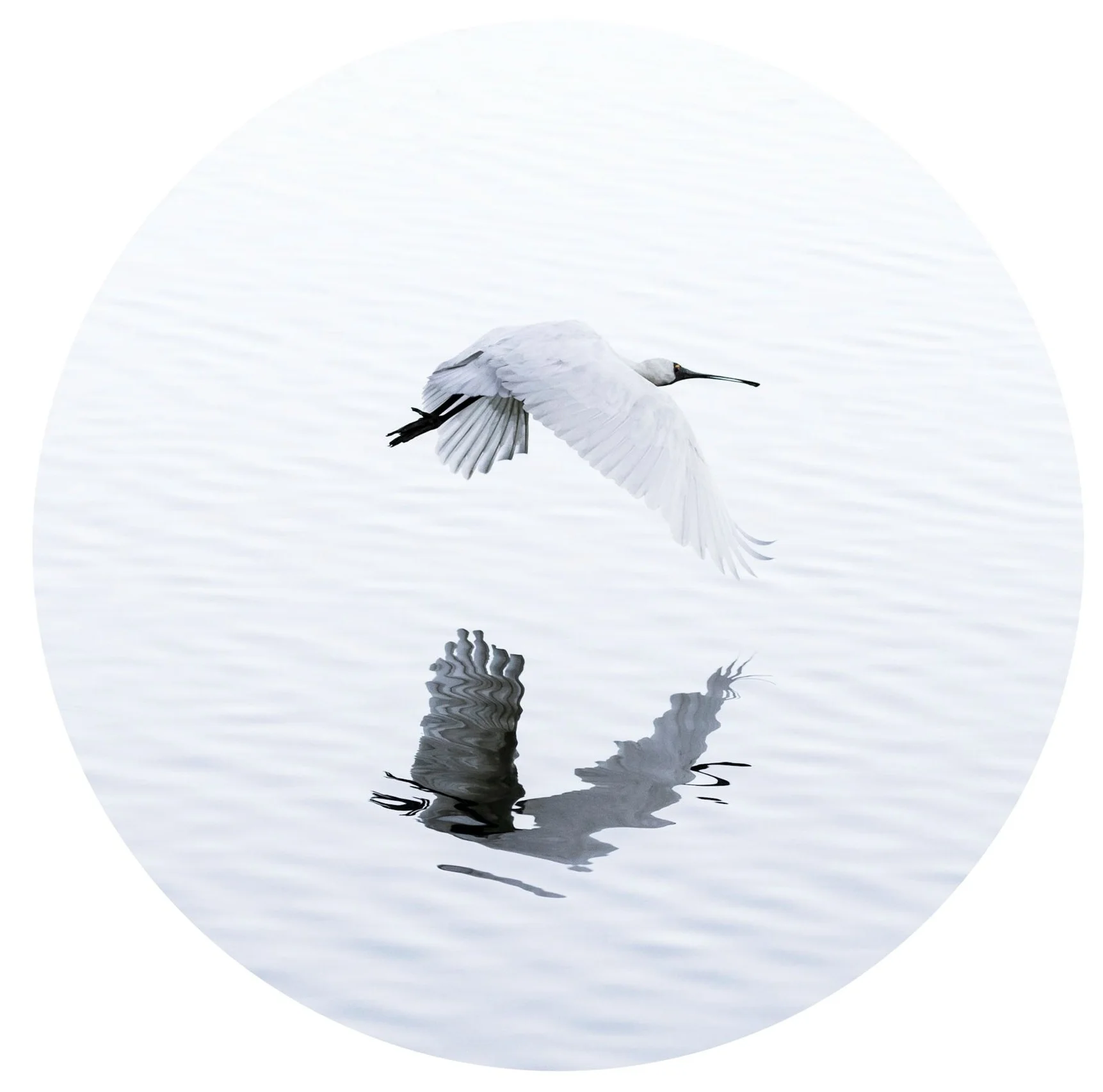 Simone Jackson, Iris awards nature category winner