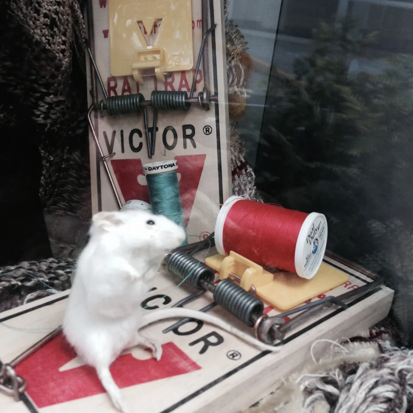 Plight of The Art Mice, 2015