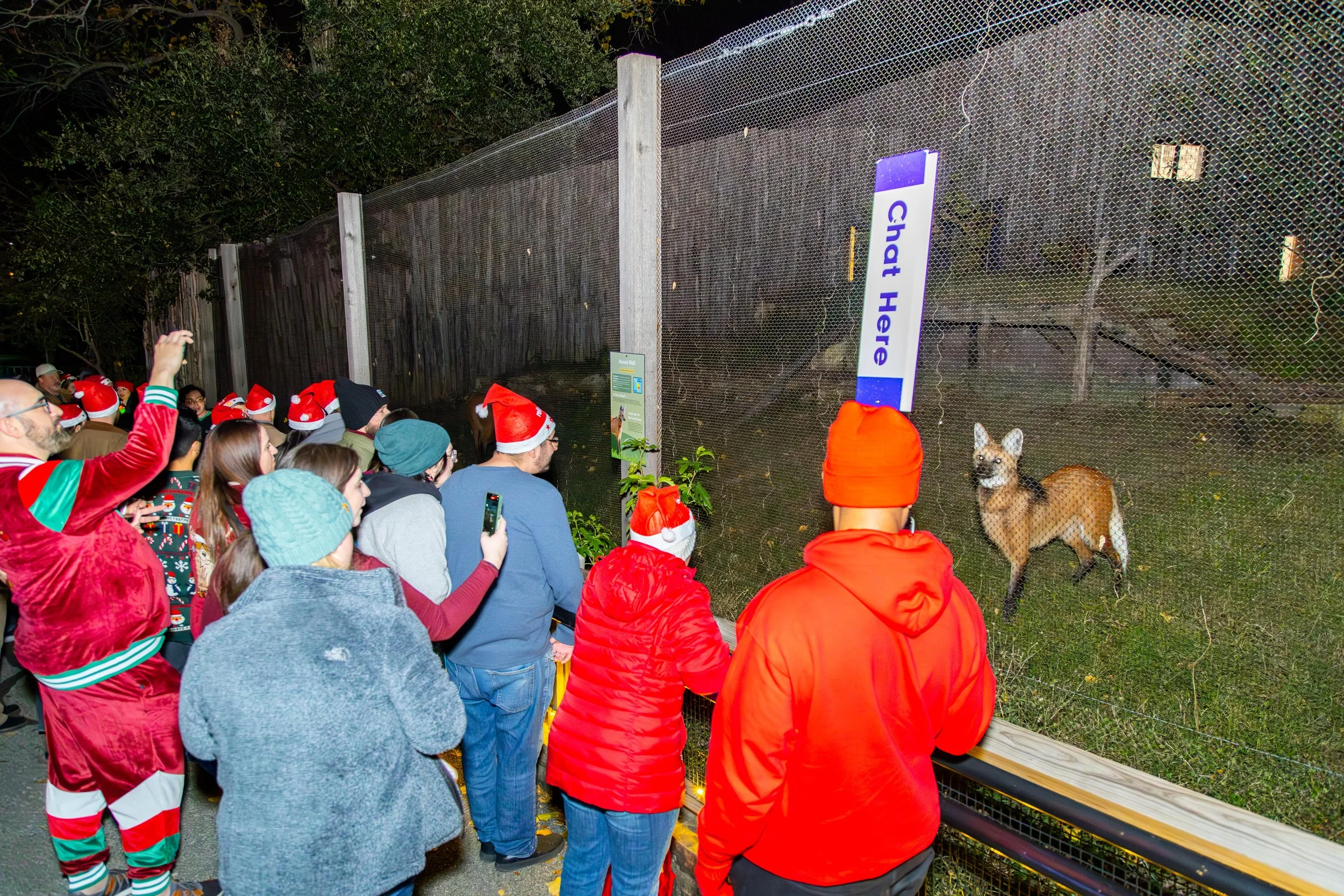 121224_ZooAfterDark-68.jpg