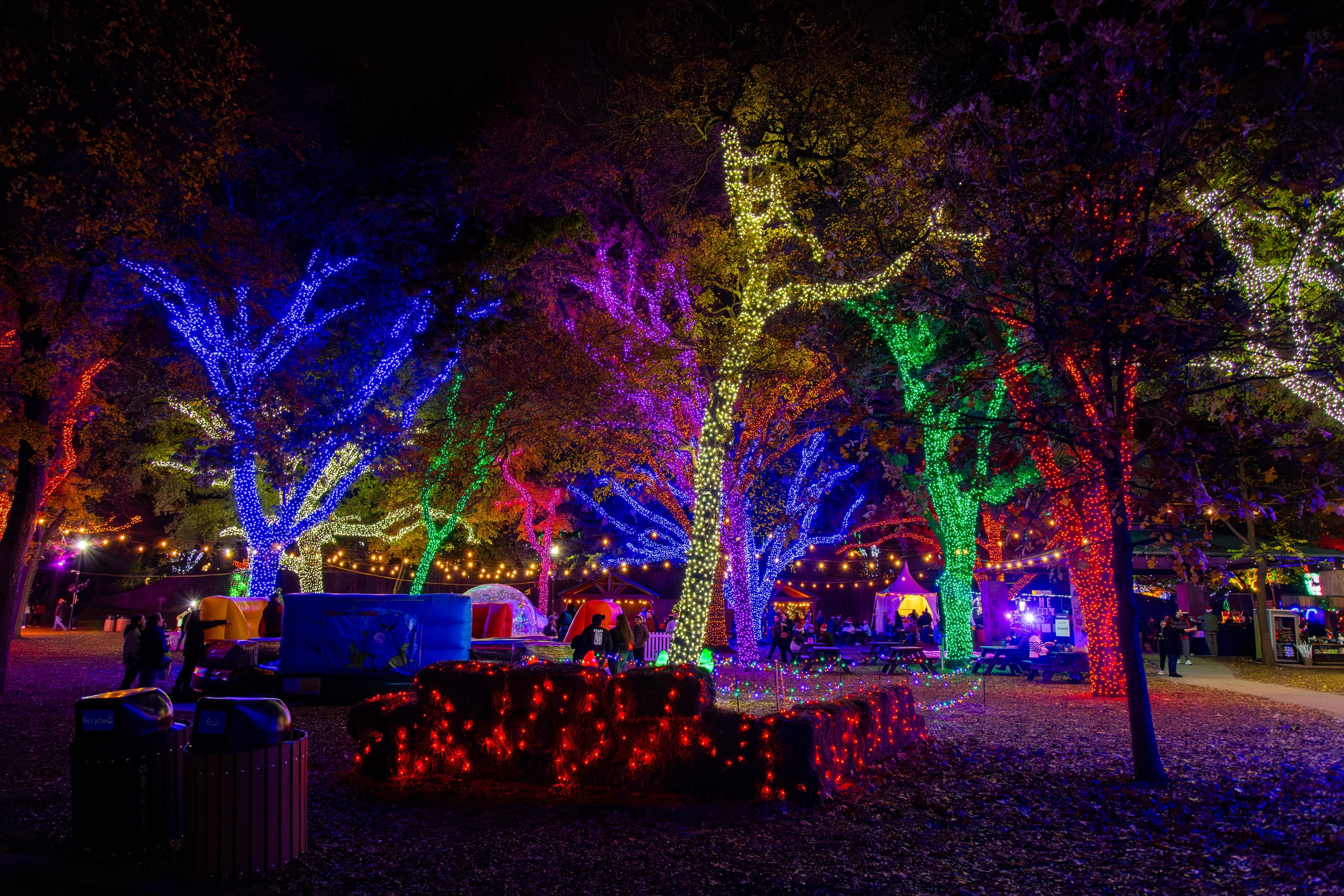 121224_ZooAfterDark-103.jpg
