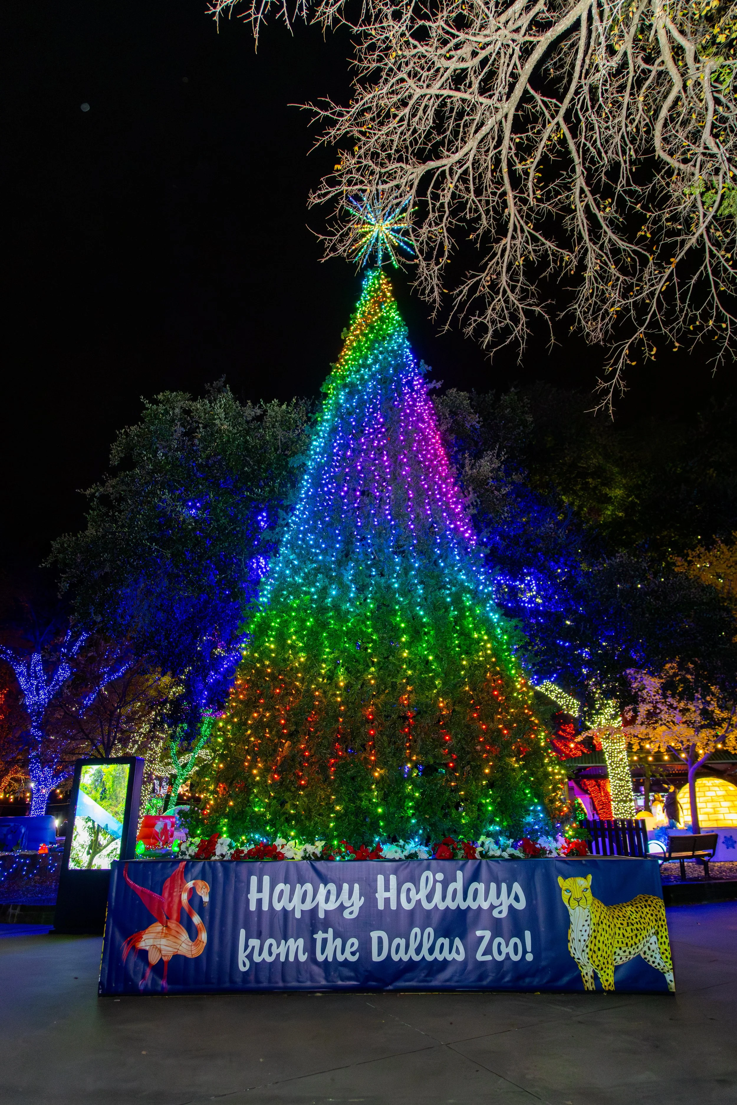 121224_ZooAfterDark-47.jpg