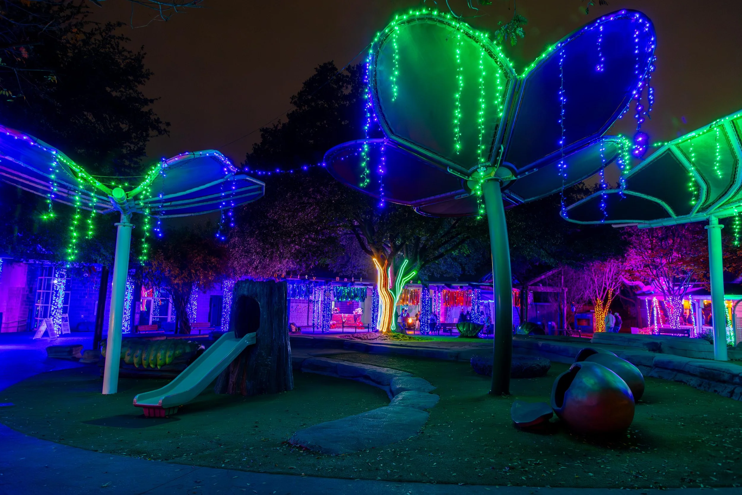 121224_ZooAfterDark-44.jpg