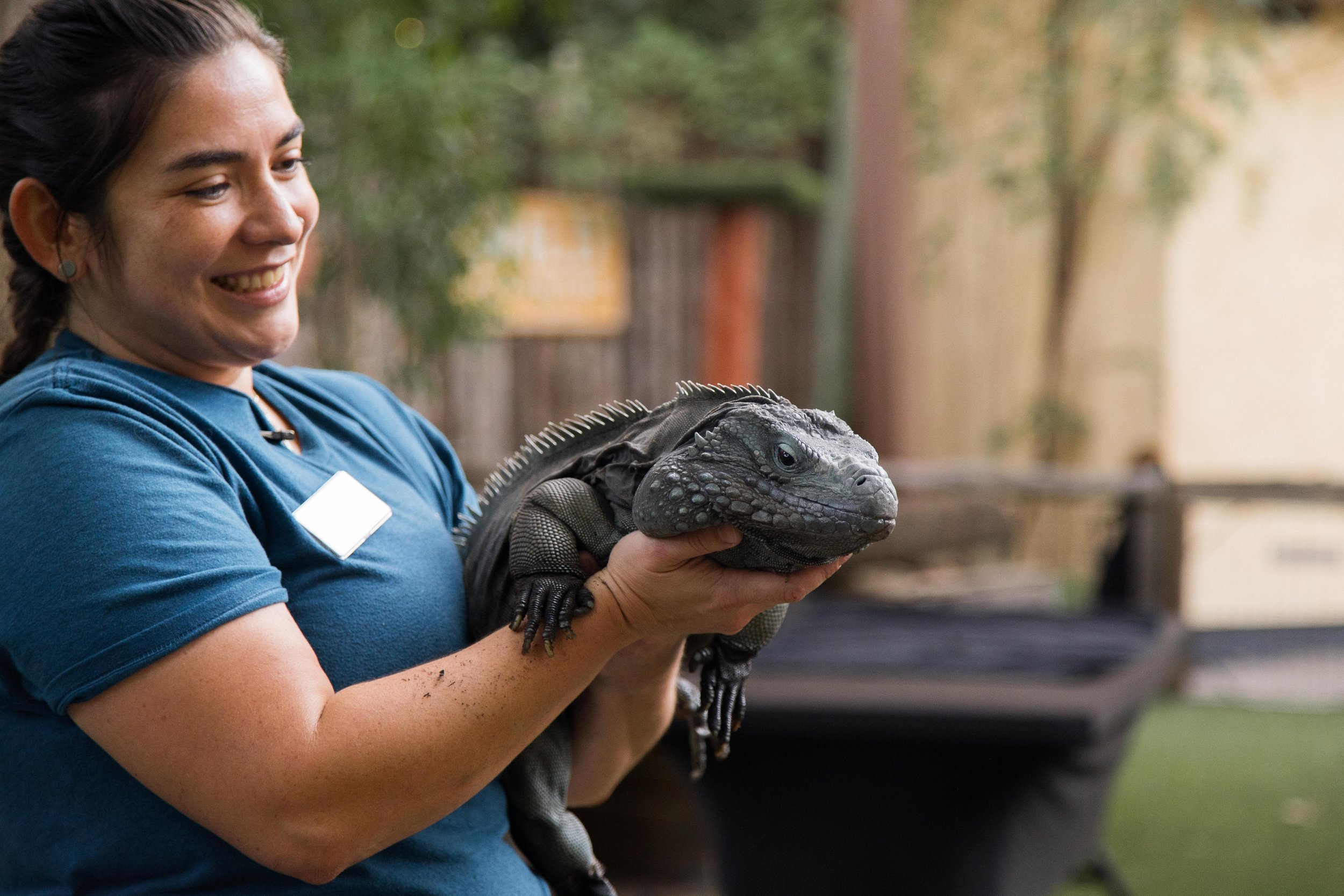 DallasZoo_AfterDark_092624-71.jpg