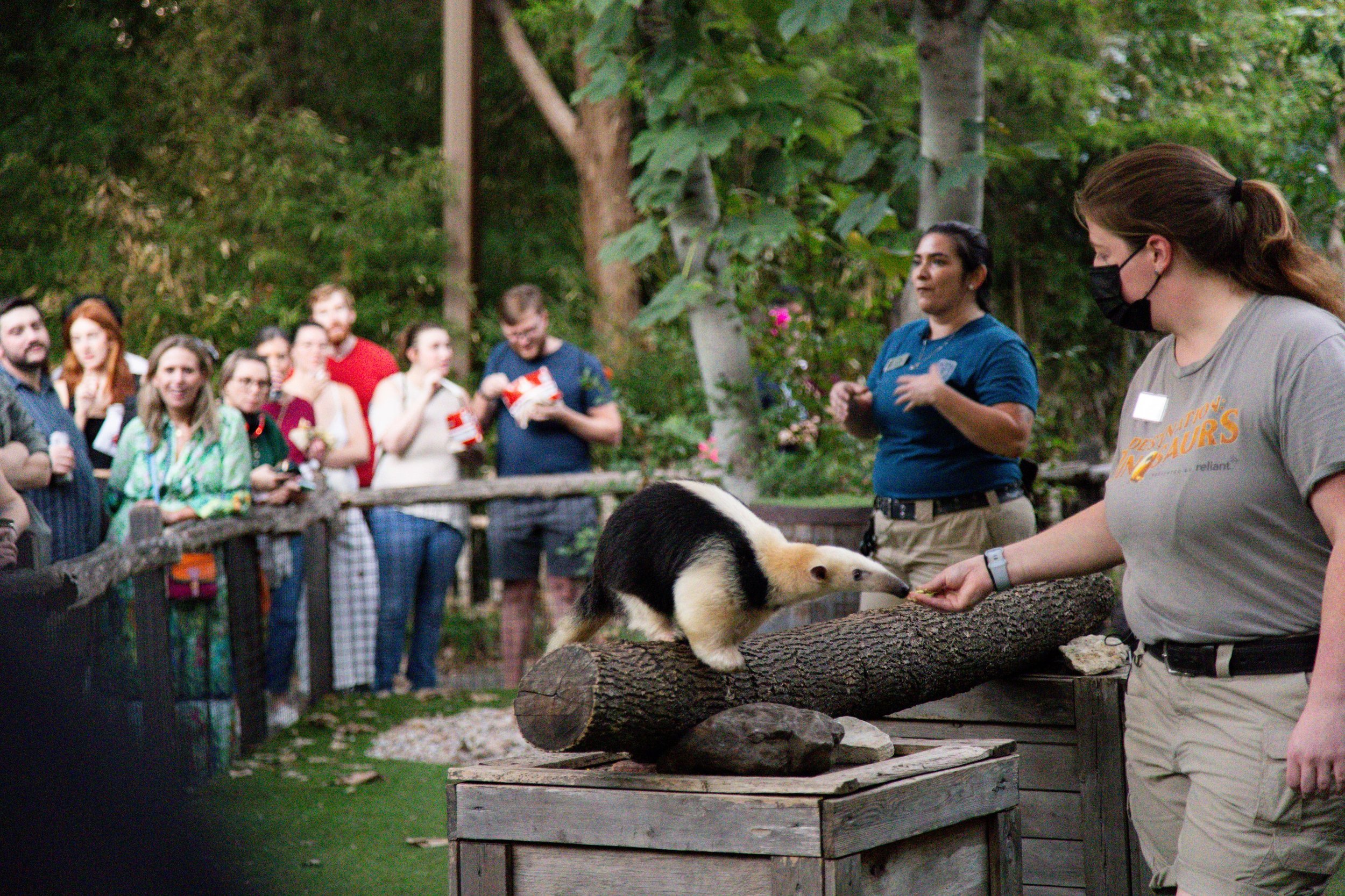 DallasZoo_AfterDark_092624-175.jpg