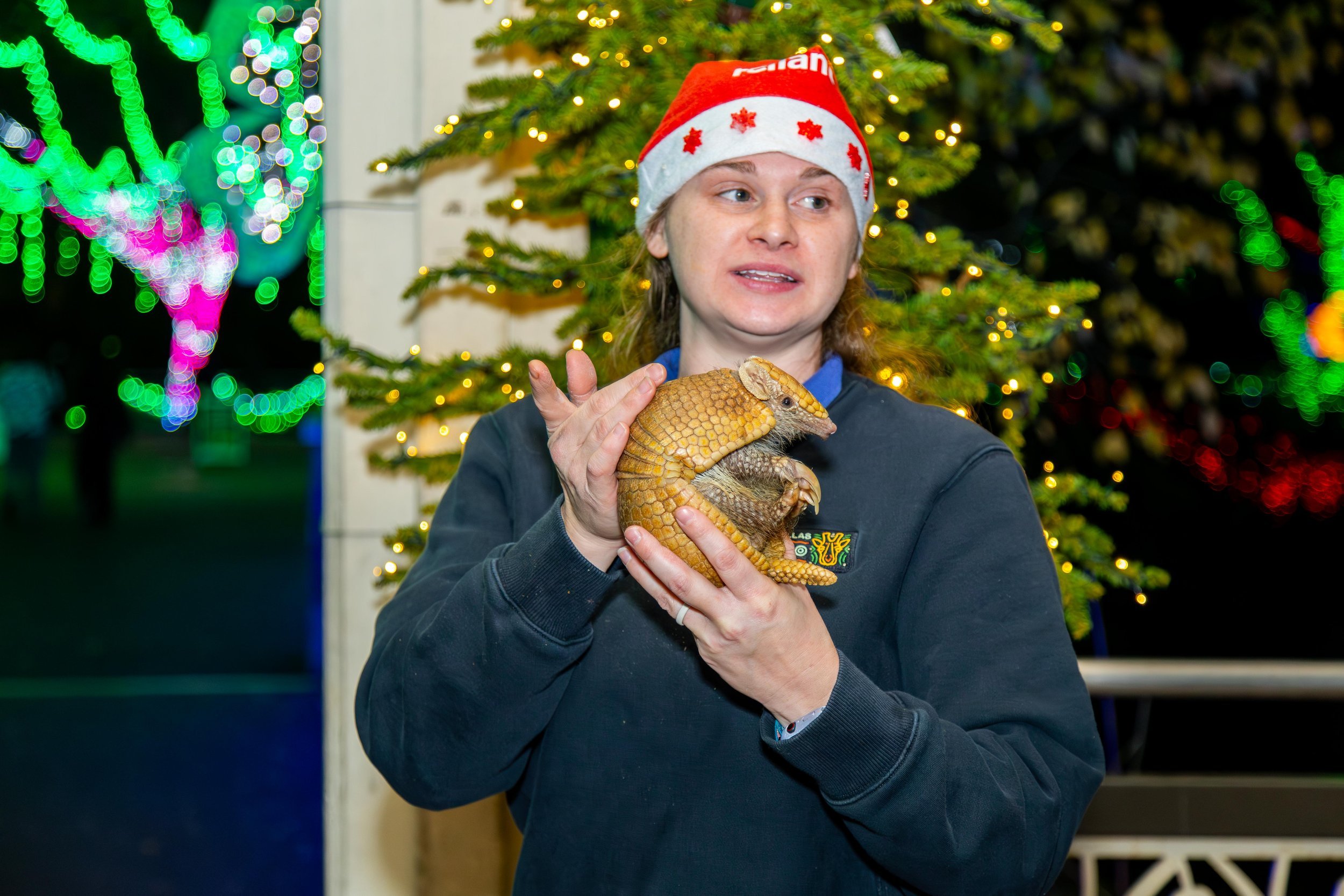 121224_ZooAfterDark-110.jpg