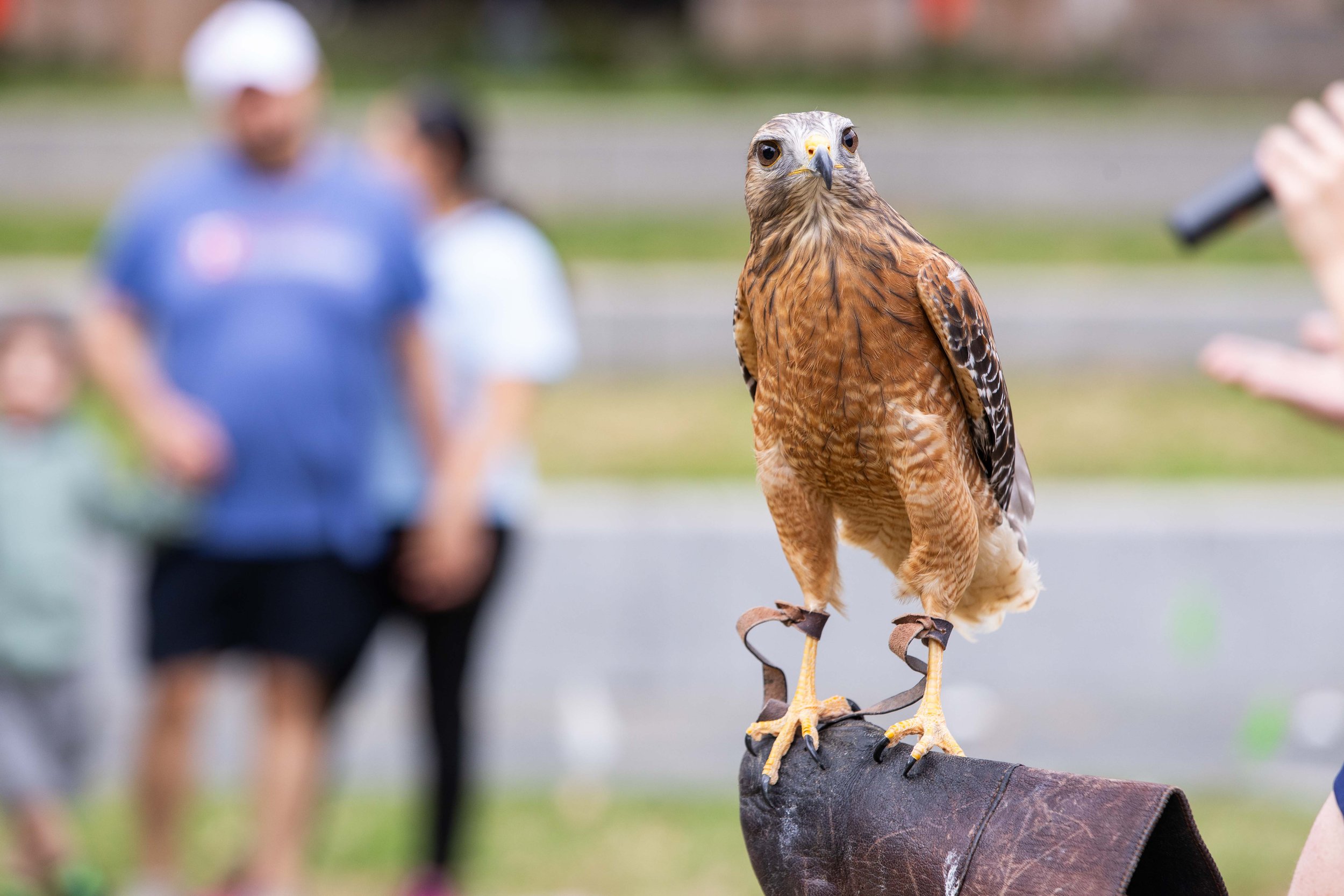 DDI_StemDay_2025-239.jpg