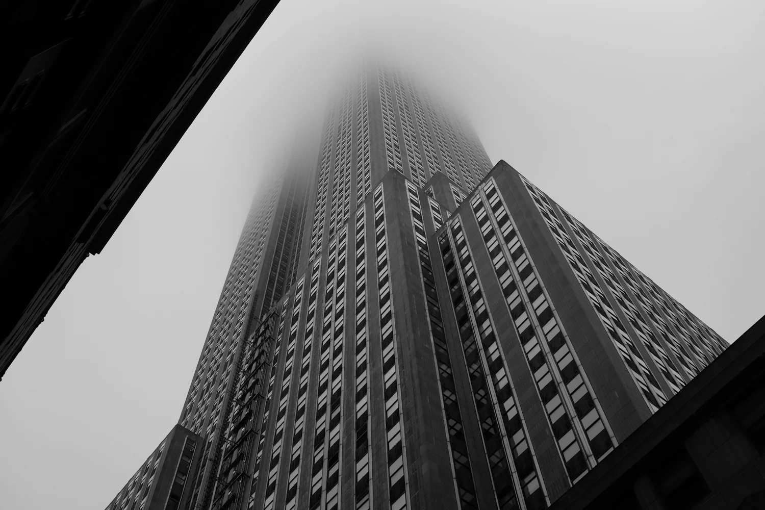 The Empire