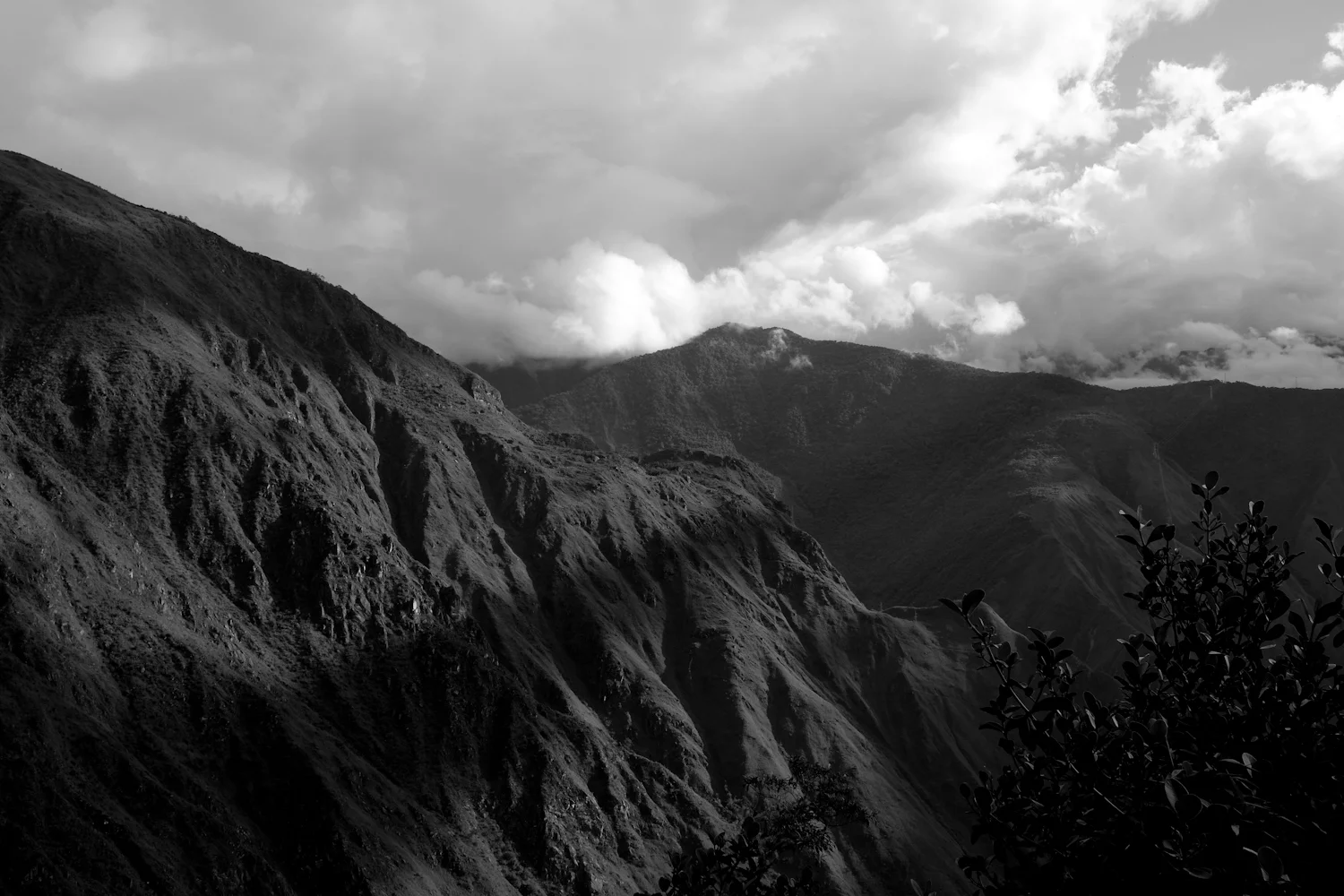DSCF2179.jpg