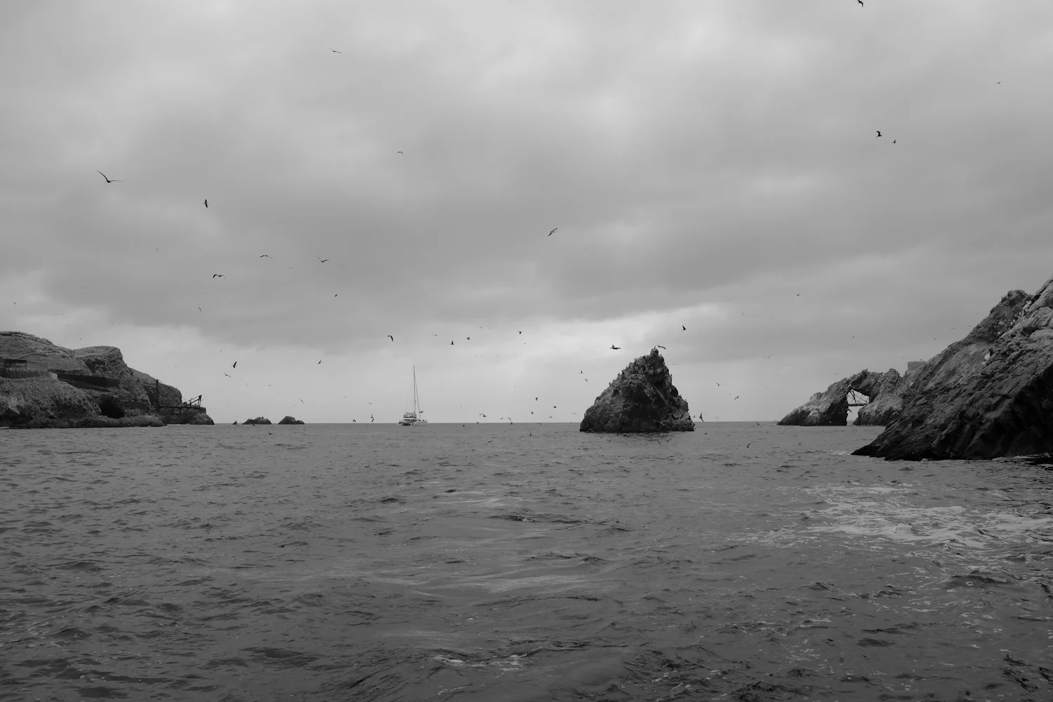 DSCF2227.jpg