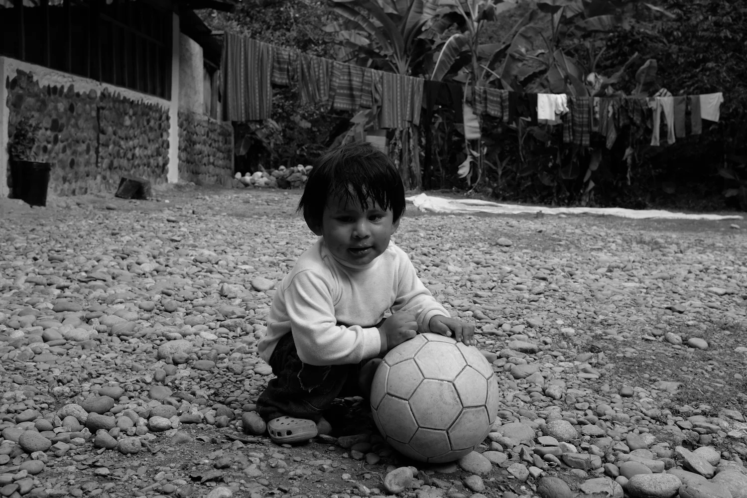 DSCF1998.jpg