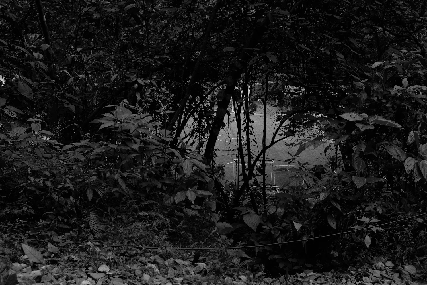 DSCF2048.jpg