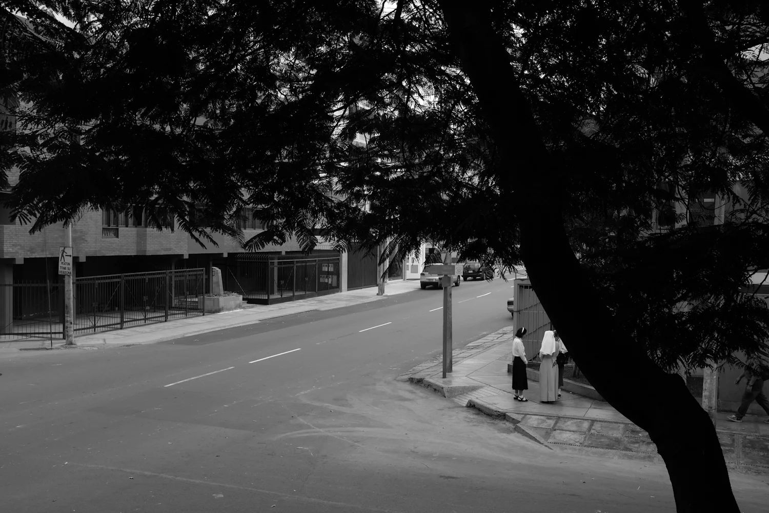DSCF1283.jpg