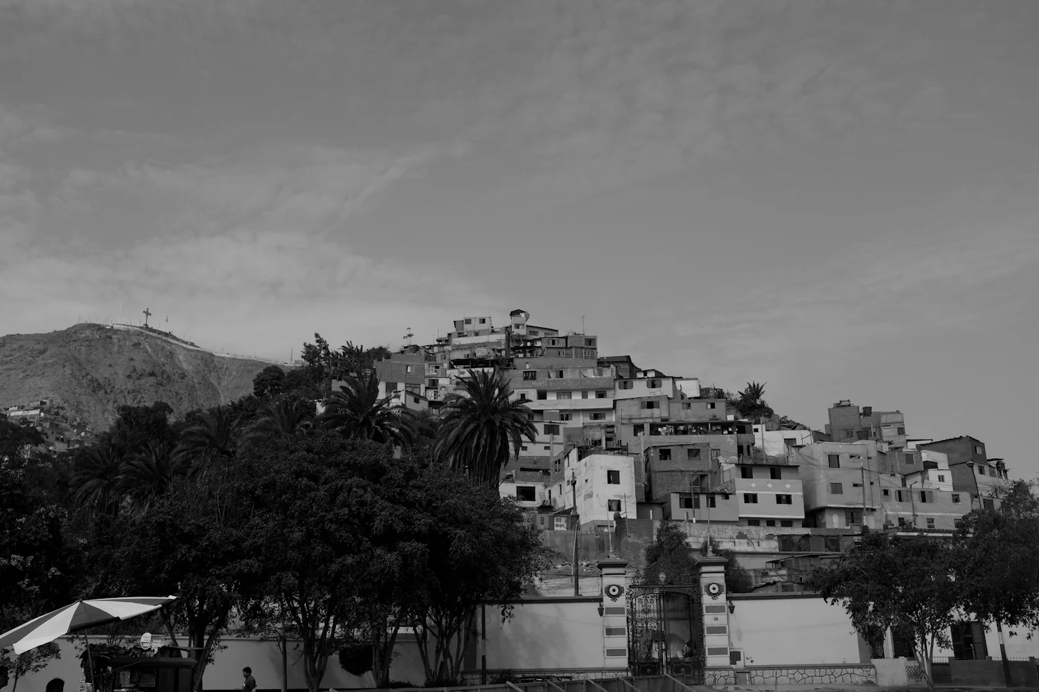 DSCF1427.jpg