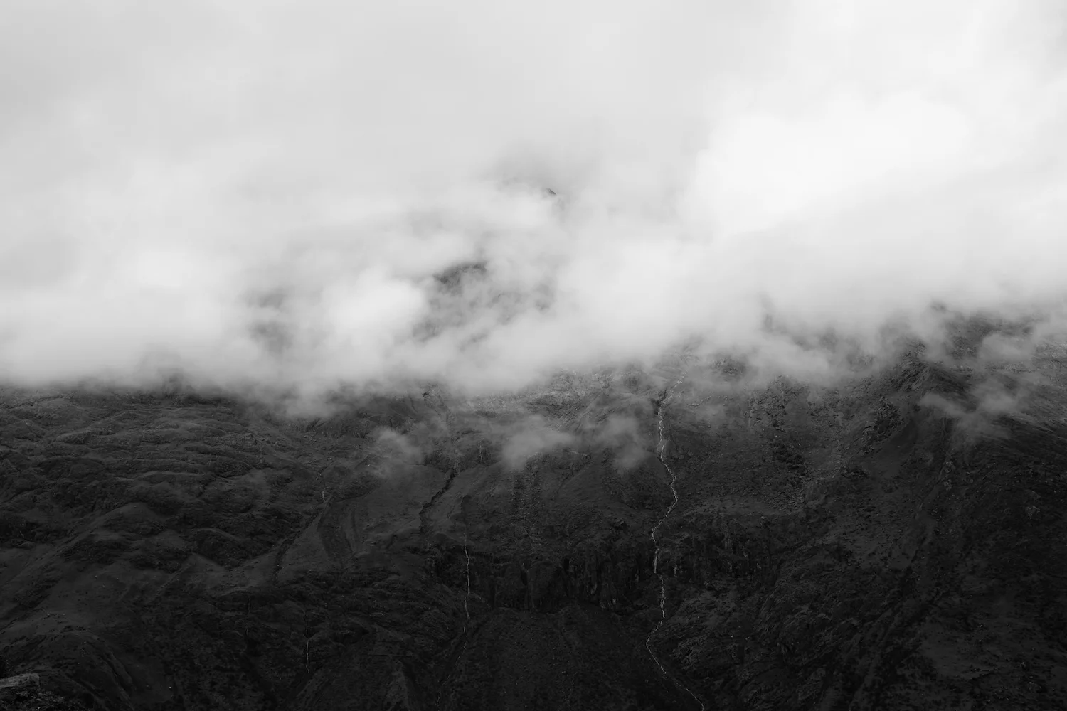 DSCF1577.jpg